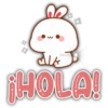 dlk
¡HOLA!
Persy