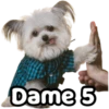 Perrito blanco(NORBERT) 11
