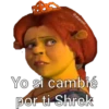 @sharonn
Yo si cambié
por ti Shrek