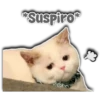 Suspiro
Persy