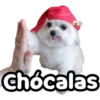 Perrito blanco(NORBERT) 13