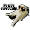 He sido
derrotado
Persy