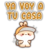 YA VOY A TU CASA