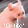 Segundo 14
