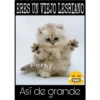 Así de mucho... Así de grande 17