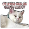 2y este Feo de
đônde salio?
Persy