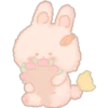 Sweet Bunny 15
