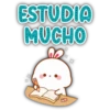 ESTUDIA MUCHO