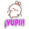 🐇Lovely tooji 2🐰 16