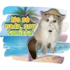 NO se
nada, soy
turista
Persy