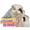 a estoy
Planeando
la boda
ersy