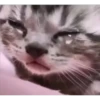 Segundo 15