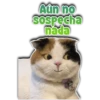 Ain no
SOSpecha
nada
Persy