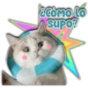 suPo?
Persy