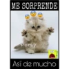 Así de mucho... Así de grande 18