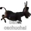 sharonn
Santa
cachucha!