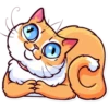 Funny cats 11