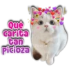 Qué
carita
tan
Picioza
Persy