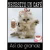Así de mucho... Así de grande 19