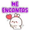 ME ENCANTAS 2₂