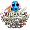 🐠Baby Dory Amorosa💙 12