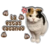 La
estas
caGando
Persy