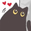 Gato black 14
