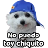 Perrito blanco(NORBERT) 17