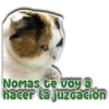 Persy
NOmás te voya
hacer la juzcaGion