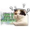 Pasa a
este loco?
Persy