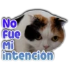 Persy
NO
Fue
Mi
intención