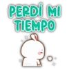PERDÍ MI TIEMPO