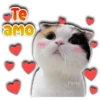 Te
aMO
Persy