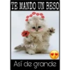 Así de mucho... Así de grande 22