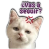 Evas a
sEGuir?
Persy