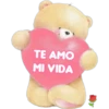 TE AMO
MI VIDA