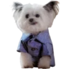 Perrito blanco(NORBERT) 20