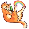 Funny cats 18