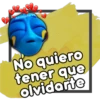 🐠Baby Dory Amorosa💙 20