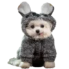 Perrito blanco(NORBERT) 21