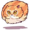 Funny cats 19