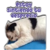 estoy
sintiendo tu
desprecio
Persy