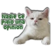 Nadie te
Pidio una
Opinion
Persy