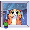 Funny cats 20