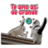 Te aMo asi
de Grande
Persy