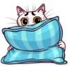 Funny cats 21