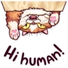 Hibuman