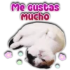 seasno aw
Mucho