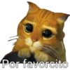 @sharonn
Por favorcito