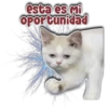 esta es mi
Oportunidad
Persy